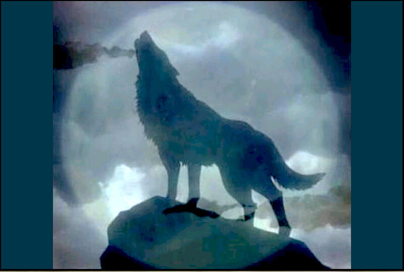 wolfhowl