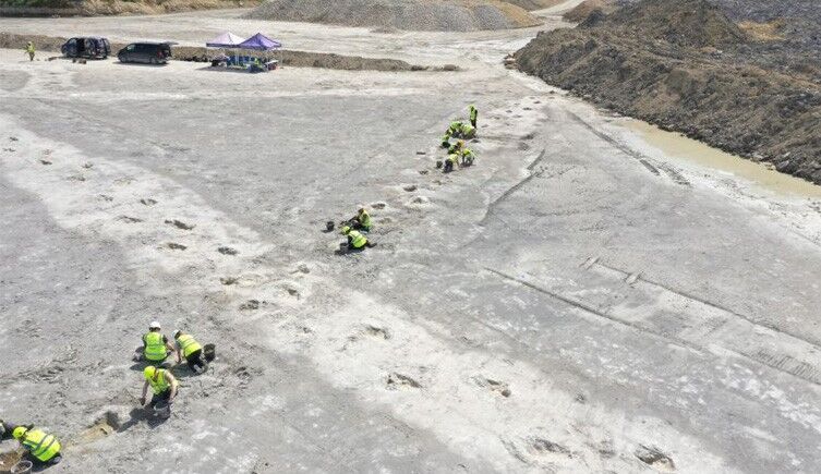 Click to enlarge dinosaur tracks quarry england