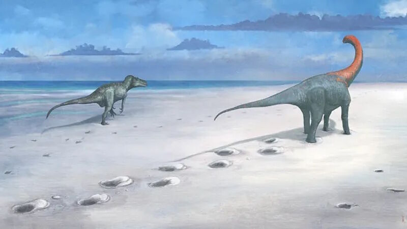 Click to enlarge Dewars Farm Quarry dinosaur track england