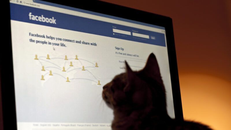 cat facebook fact checkers