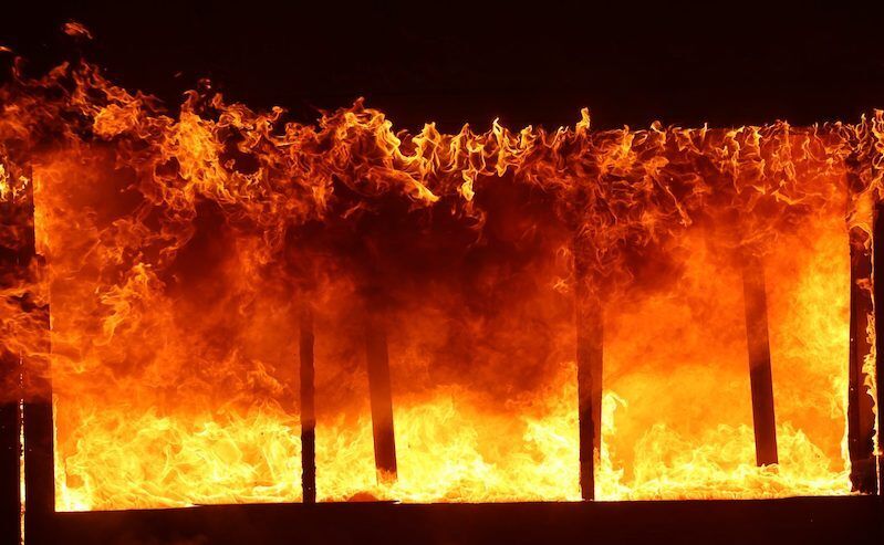 treesonfire