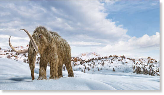 mammoth