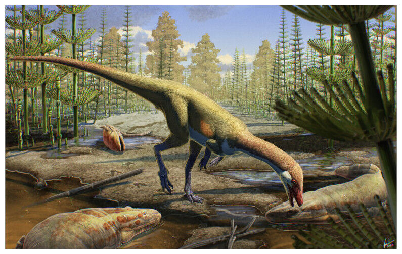 Click to enlarge Ancient Dinosaur