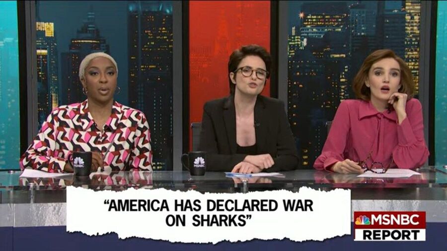 saturday night live skit rachel maddow satire