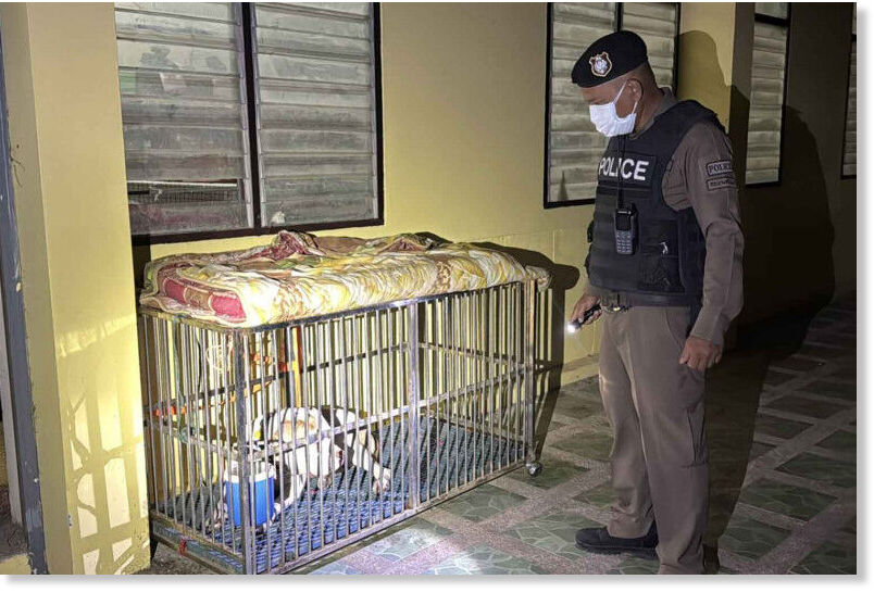 A police officer with the year-old pit bull