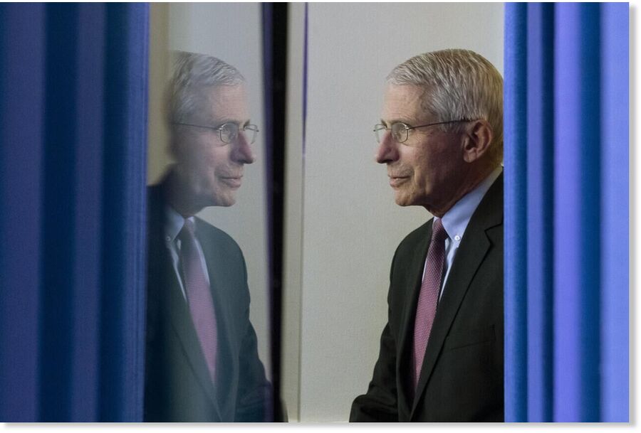 Fauci reflection