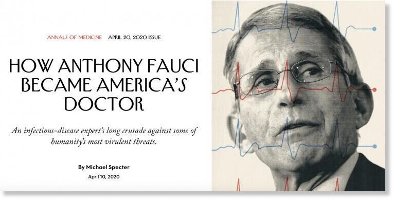 Click to enlarge Legacy media outlets promoted Fauci