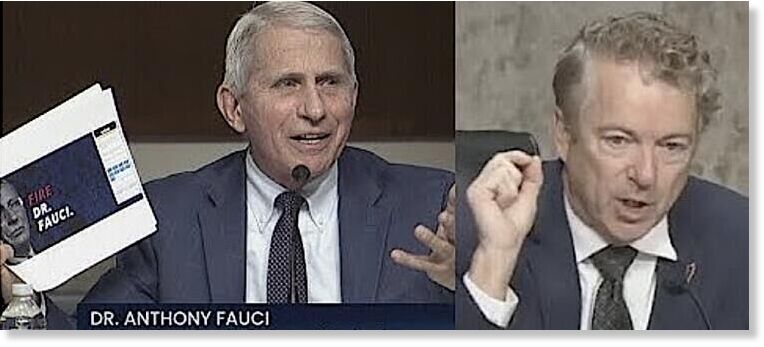 Click to enlarge Fauci and Rand Paul