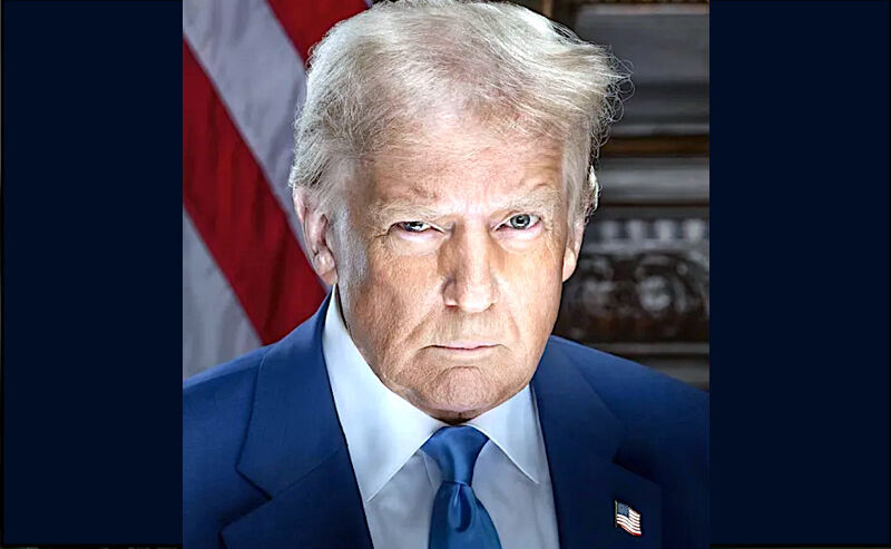 Click to enlarge Trump portrait