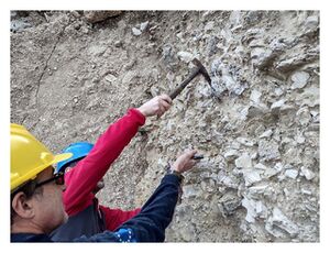 Click to enlarge section of lithified sediment
