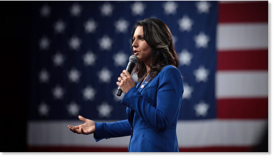 tulsi gabbard