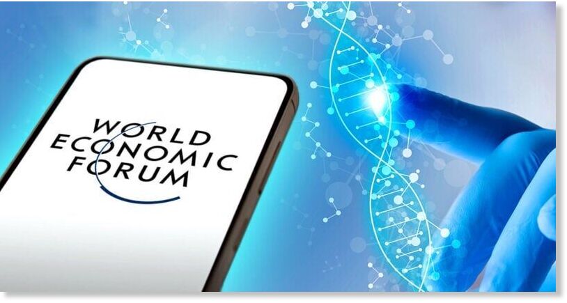 wef meeting