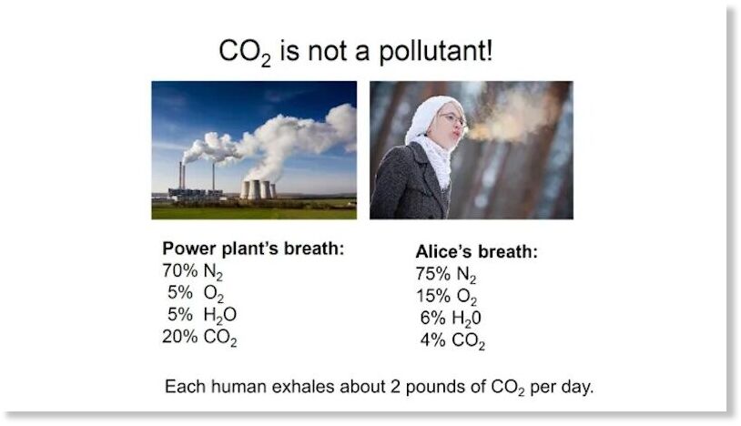 Click to enlarge CO2 not pollutant
