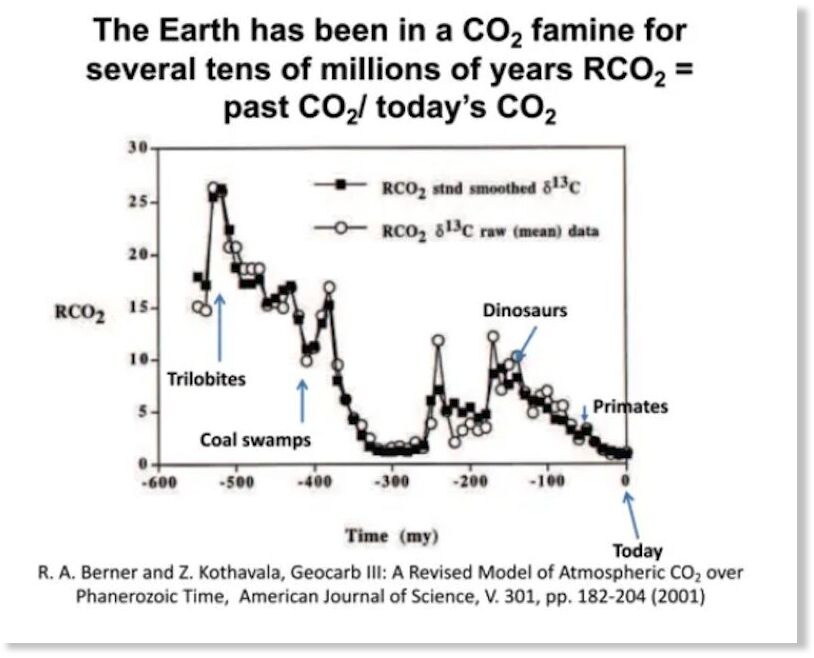 Click to enlarge co2 famine