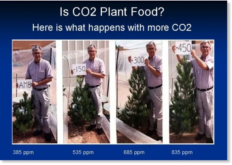 Click to enlarge co2 plant food