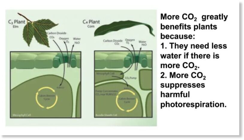 Click to enlarge more co2