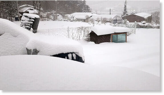 Snow is seen piled up at a village in Hoengseong, Gangwon on Jan. 28.