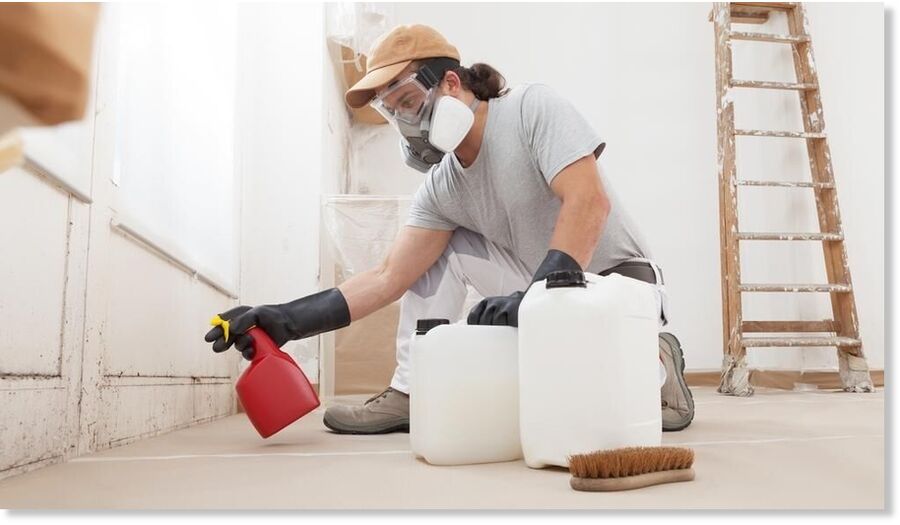 mold spray