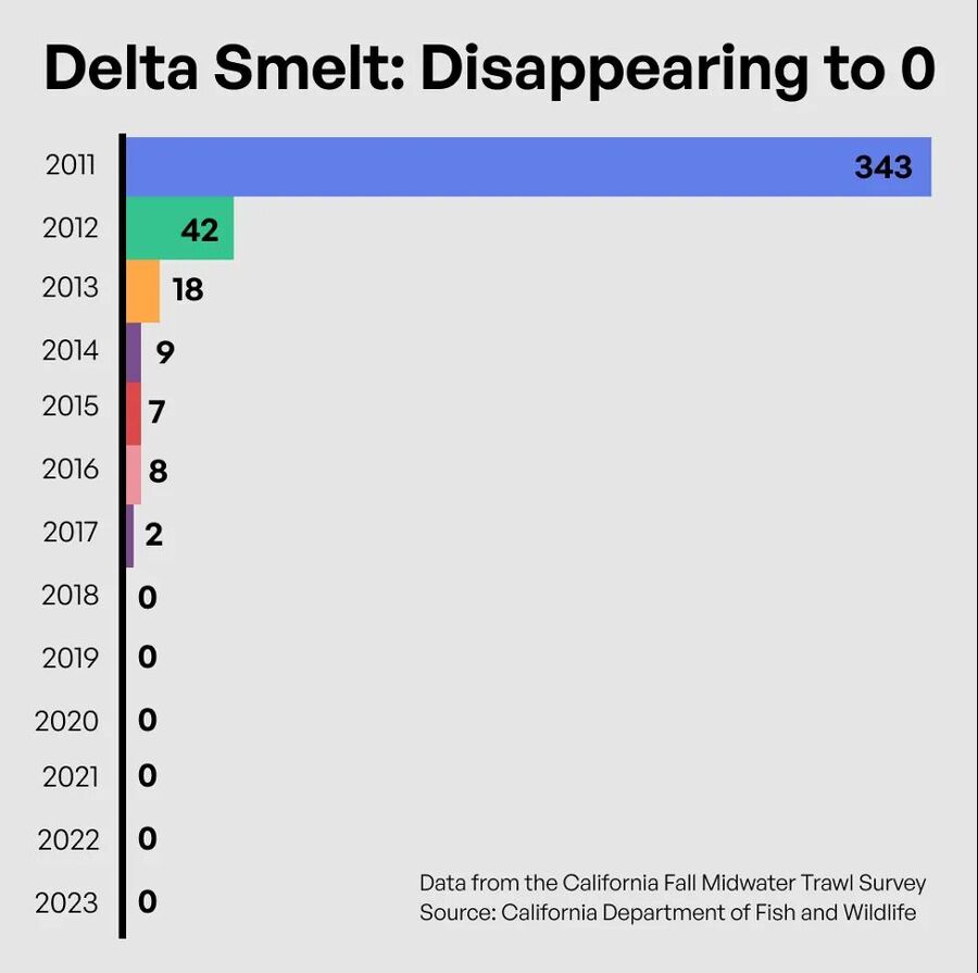 Click to enlarge delta smelt california statistics fraud