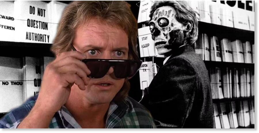 they live