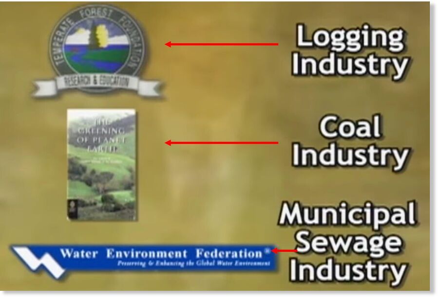logging industry