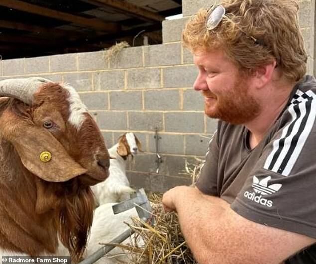 Click to enlarge Radmore Farm Shop, goat, Ben Aveling