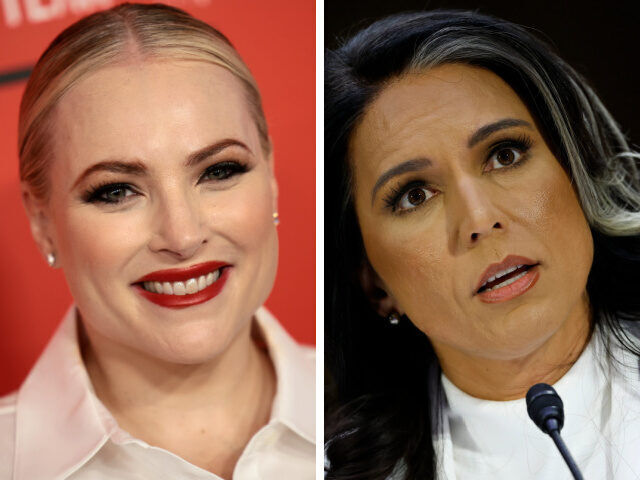 Meghan McCain, Tulsi Gabbard