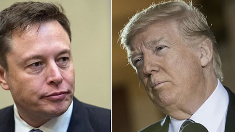 Click to enlarge Elon Musk and Donald Trump