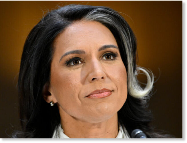 tulsi gabbard