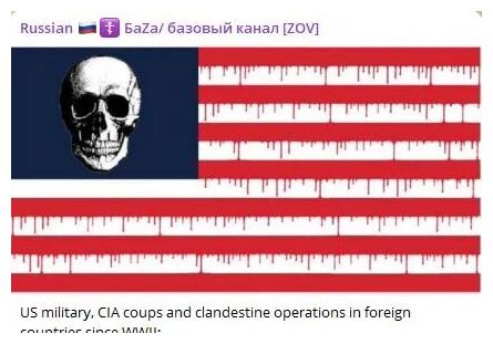 US Skull Flag