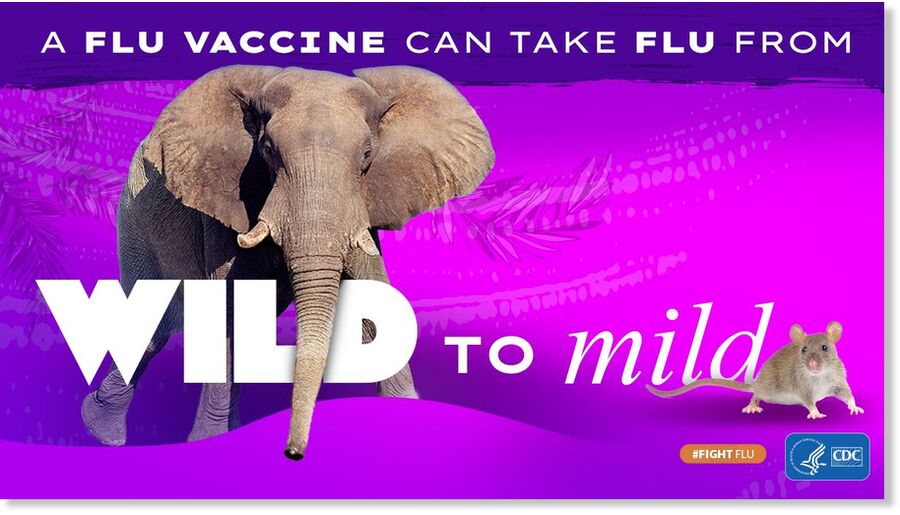 wild to mild
