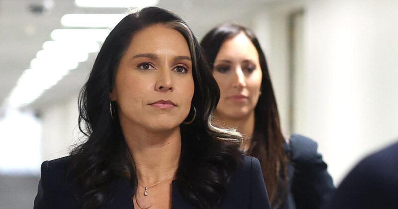 Click to enlarge Director of National Intelligence (DNI) Tulsi Gabbard