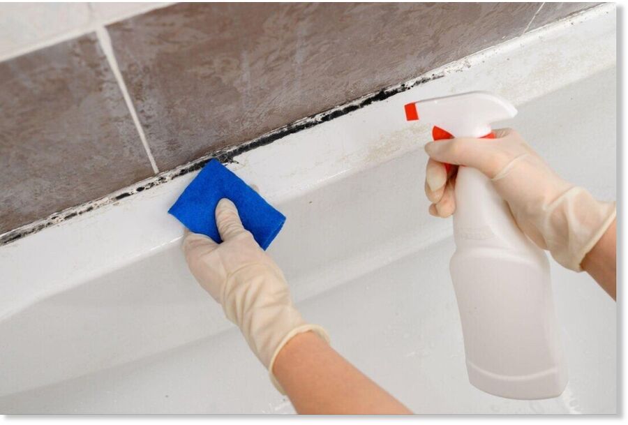 mold spray clean
