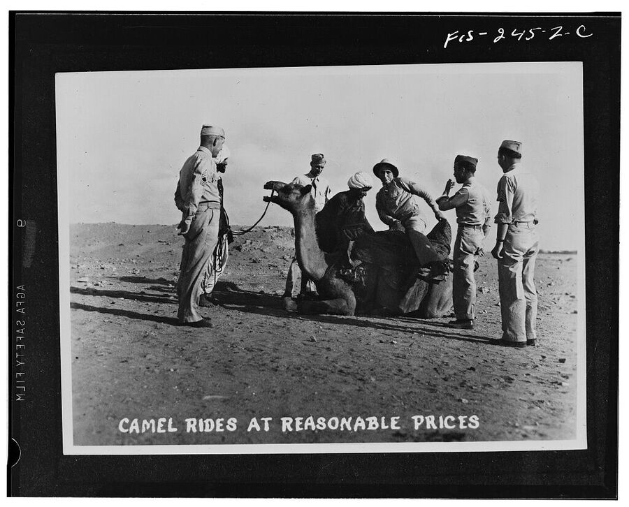 us army camels rides india