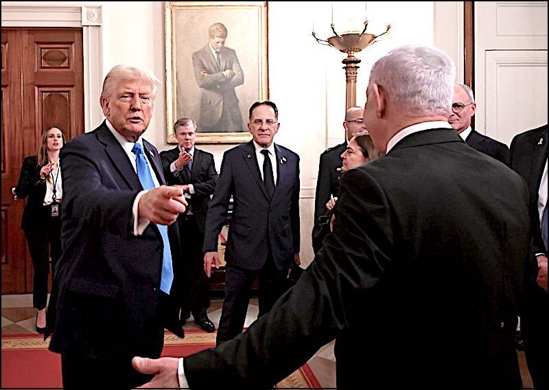 TrumpNeti