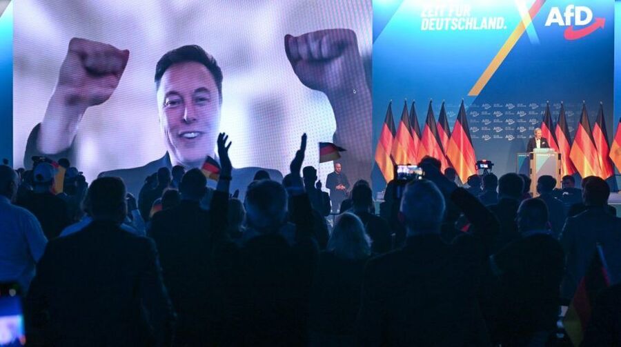 European union elon musk afd protesters collage