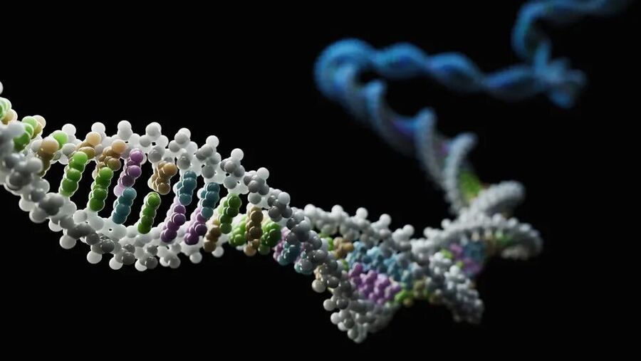 Click to enlarge dna epigentic changes