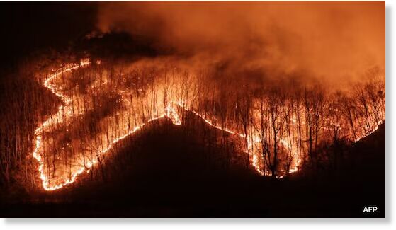 Click to enlarge Over 6,700 firefighters have been deployed to battle South Korea's wildfire.