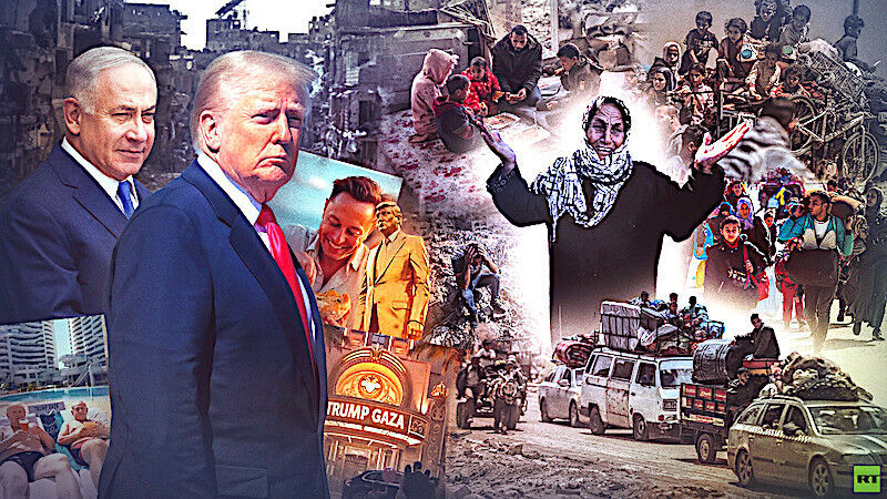 NetiDon Gazans