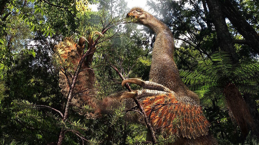 Click to enlarge dinosaur sickle claws