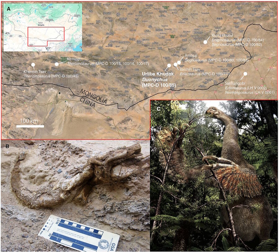 Click to enlarge location map dinosaur claws mongolia