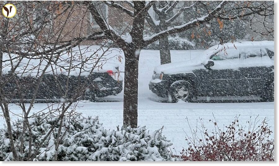 A surprise April snowstorm hit Minnesota.