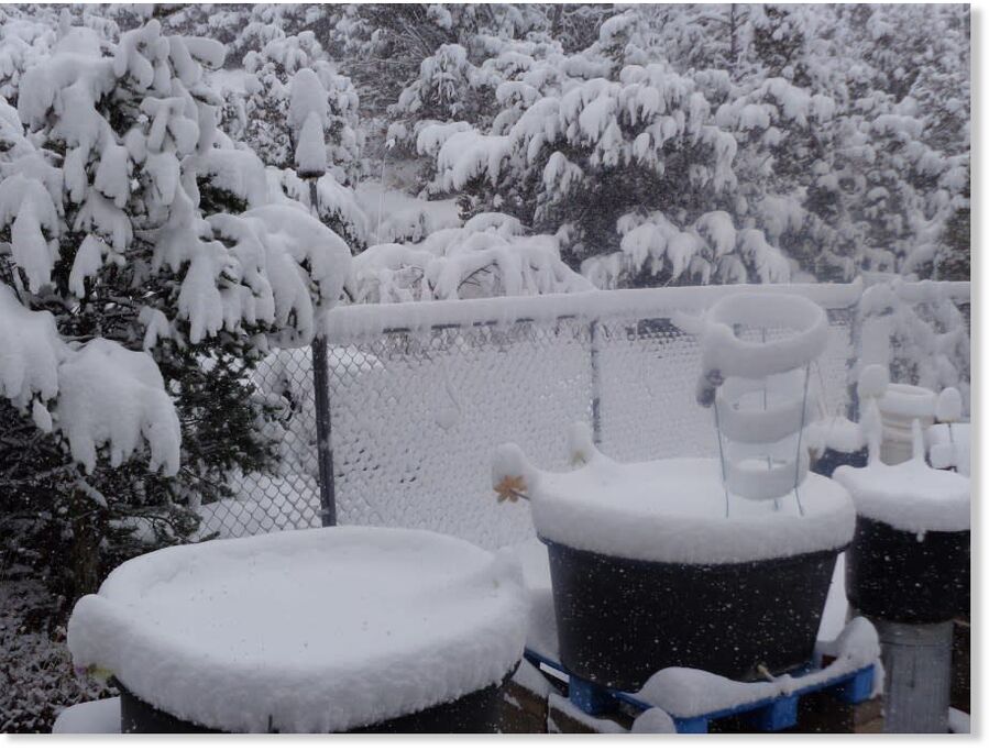Snowfall in Tijeras