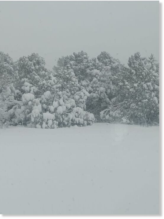 Snow in Tijeras