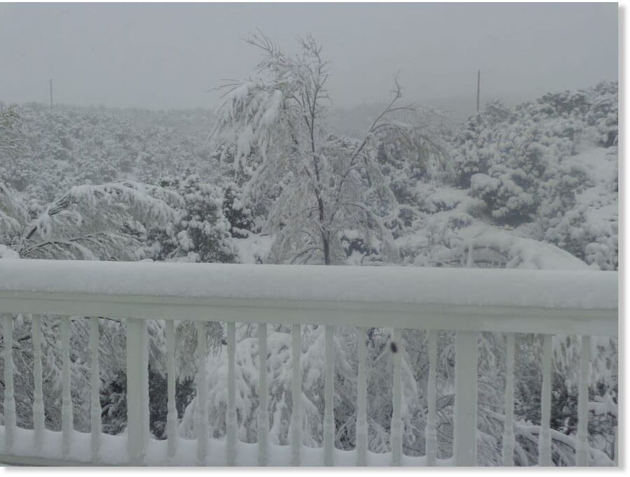 Snowfall in Tijeras