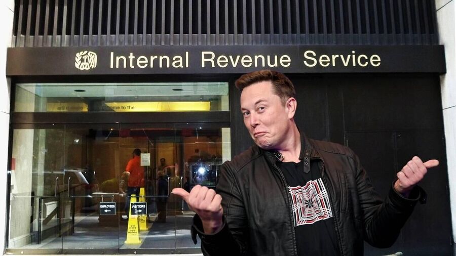 musk doge IRS