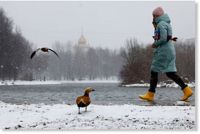 A woman walks past a bird on the shore
