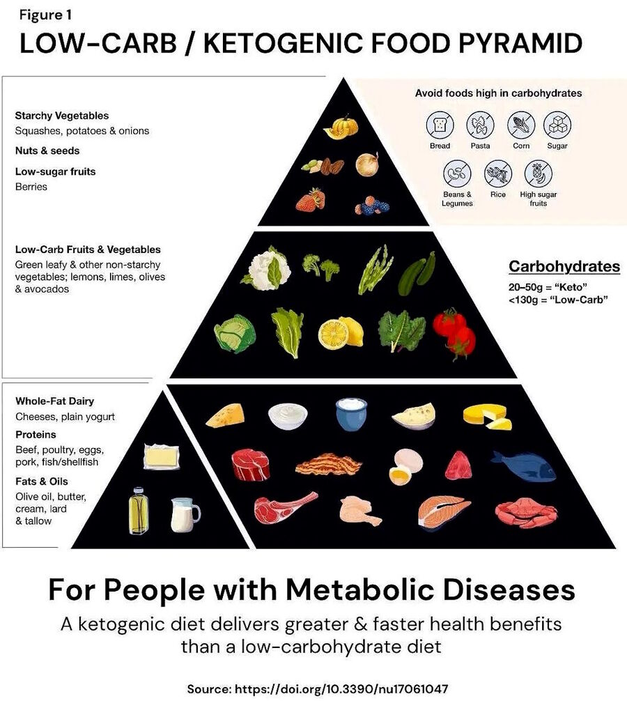 Click to enlarge new food pyramid keto meat good