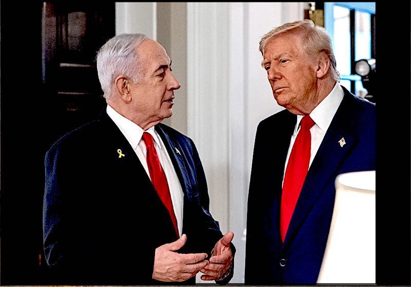 Click to enlarge BenjDonald