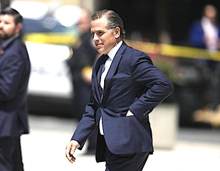 hunter biden tax fraud hearing delaware 2023